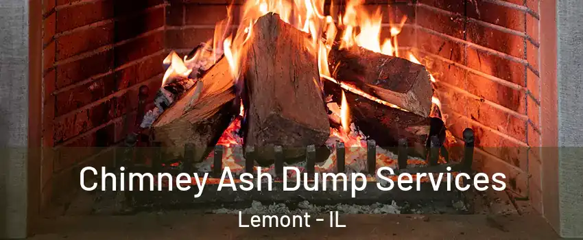  Chimney Ash Dump Services Lemont - IL