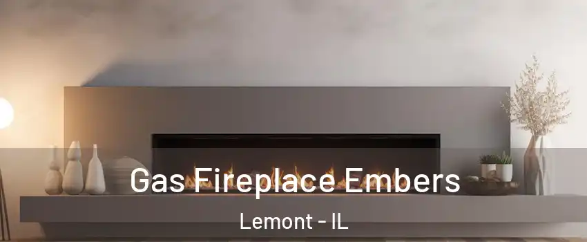 Gas Fireplace Embers Lemont - IL