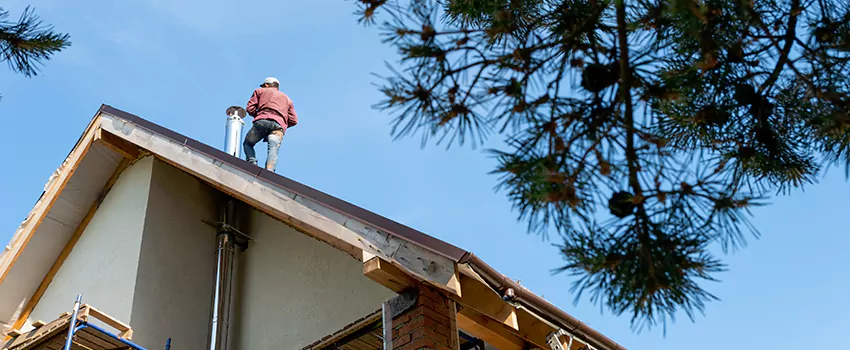 Birds Removal Contractors from Chimney in Lemont, IL