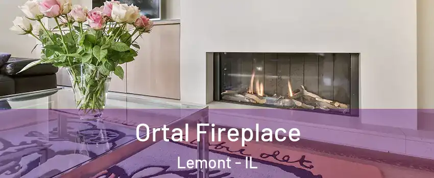  Ortal Fireplace Lemont - IL